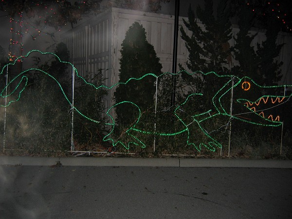 wildlights at zoo 019.jpg